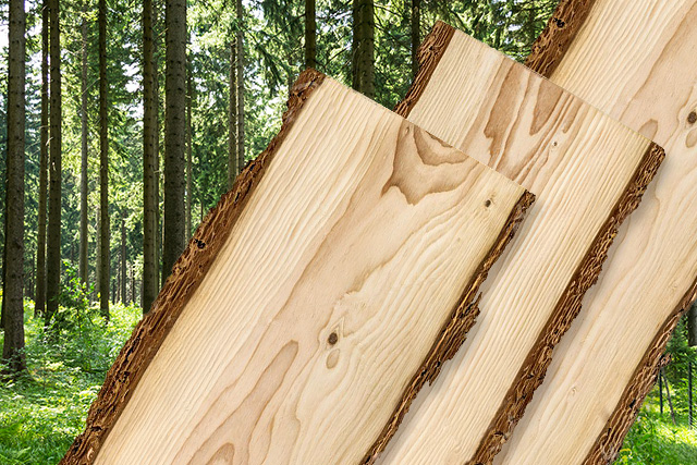 Massivholz